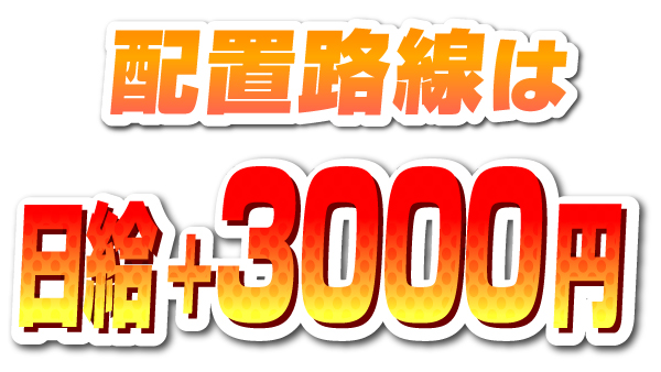 日給に加算される資格手当で更に高収入